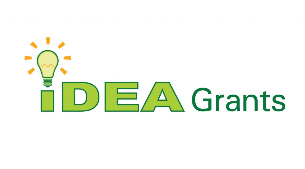 IDEA Grants Established