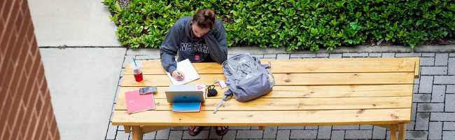 Student studies at a picnic table.