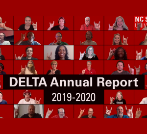 DELTA Annual Report 2019-2020